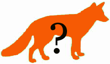 renard en profil