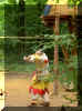 pict0667.jpg (40773 octets)
