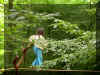 pict0671.jpg (40277 octets)
