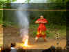 pict0683.jpg (40397 octets)