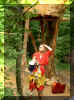 pict0695.jpg (40856 octets)